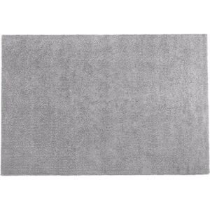 Svetlo sivý koberec 160 × 230 cm DEMRE, 68585